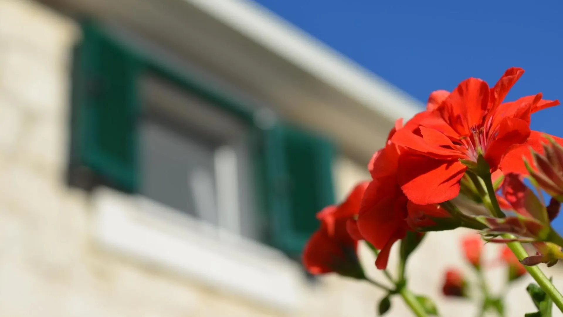 House Little Flower تروغير 0*,  كرواتيا